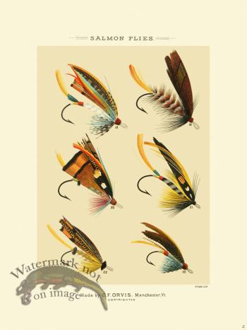 Favorite Flies 02 Salmon